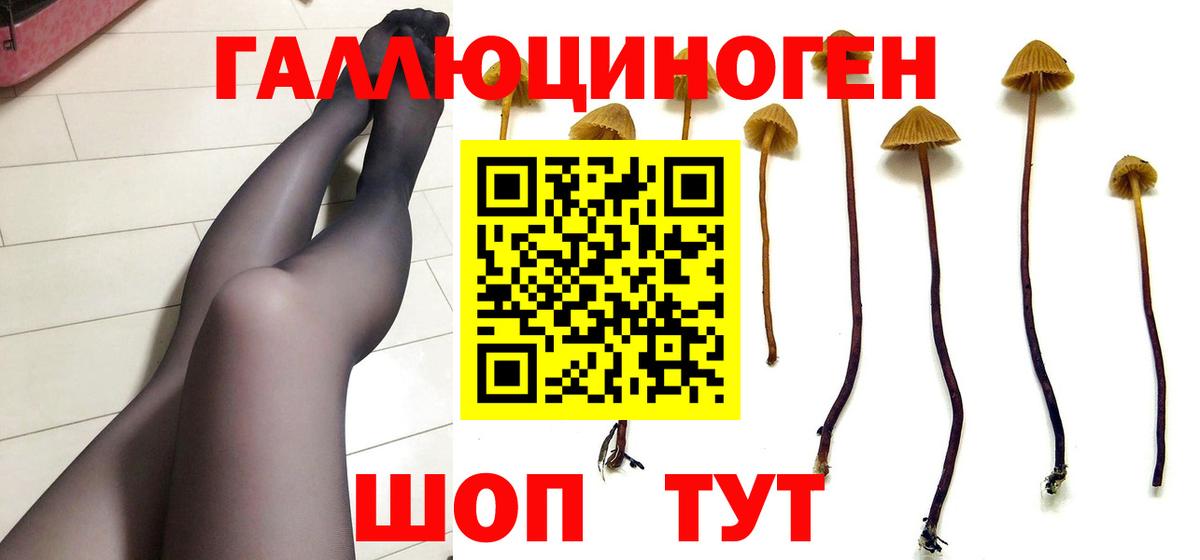 магазин продажи   Галлюциногенные грибы GOLDEN TEACHER  Соликамск  Вход с VPN  Псилоцибиновые грибы MAGIC MUSHROOMS 