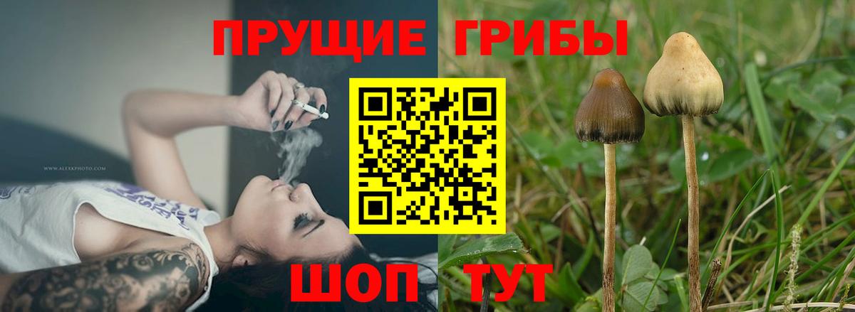 MDMA  Соликамск  Меф МЯУ МЯУ   ГАШ  Cocaine  Вход с VPN 